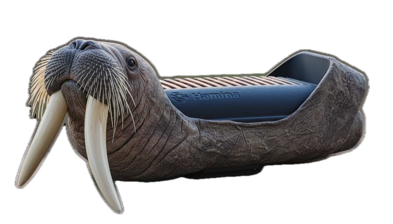 Hamina CLIP: The Smart Measurement Duo for Professional, WIRELESS Wi-Fi Surveys